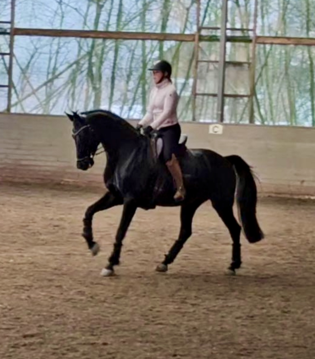 Foto Ahlqvist Dressage